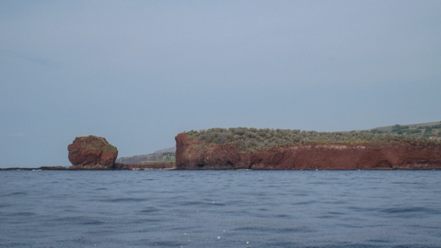 The Lanai coast, from our first dive.