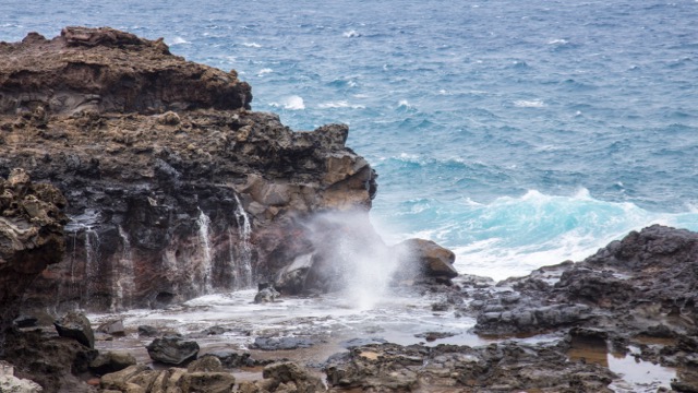 Maui Diving and Driving - 54.jpg