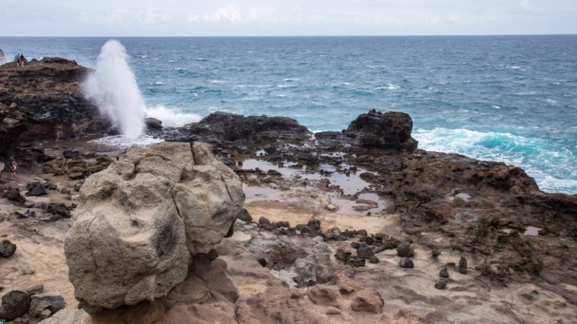 Maui Diving and Driving - 56.jpg