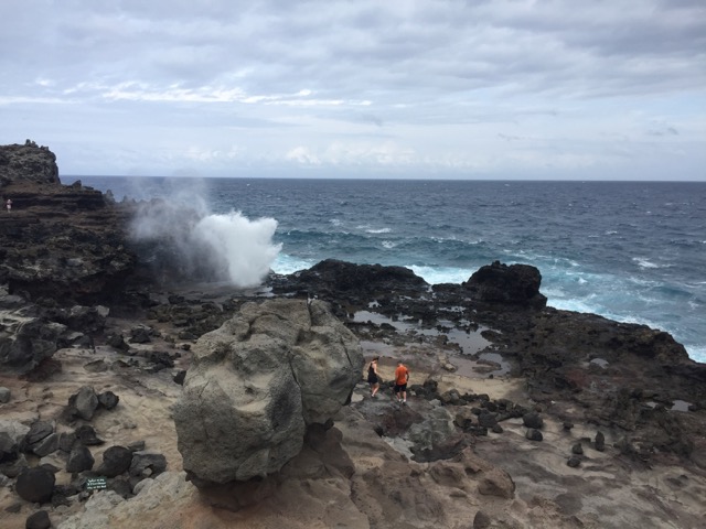 Maui Diving and Driving - 59.jpg