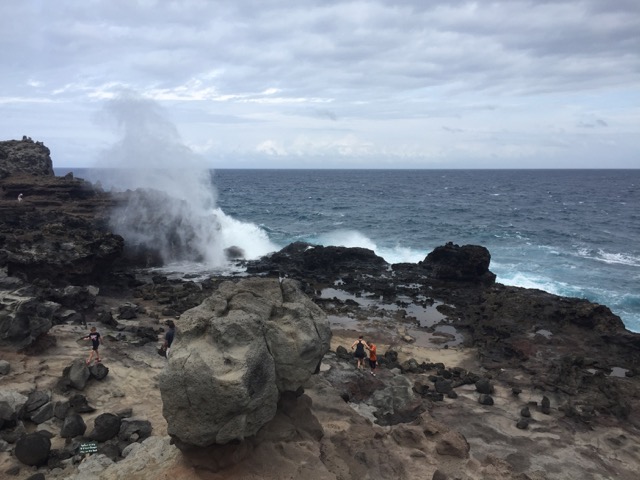 Maui Diving and Driving - 61.jpg
