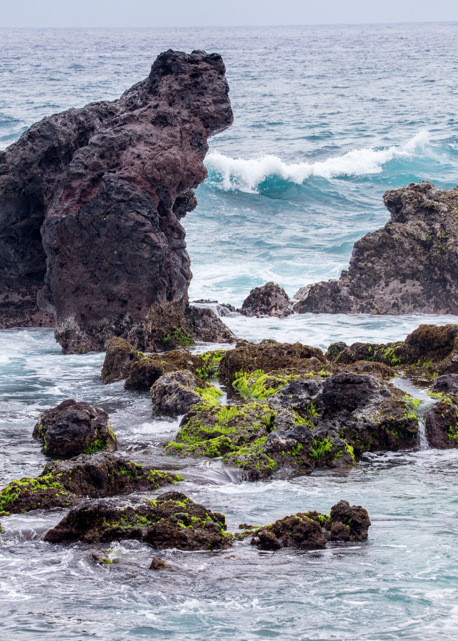 The rocky shoreline