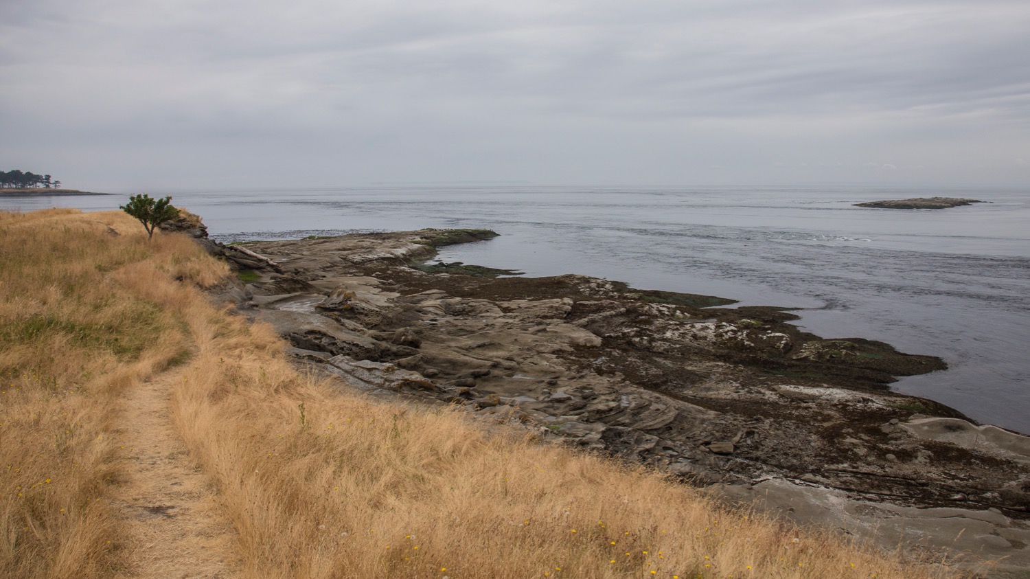  Looking east, past the end of East Point. 