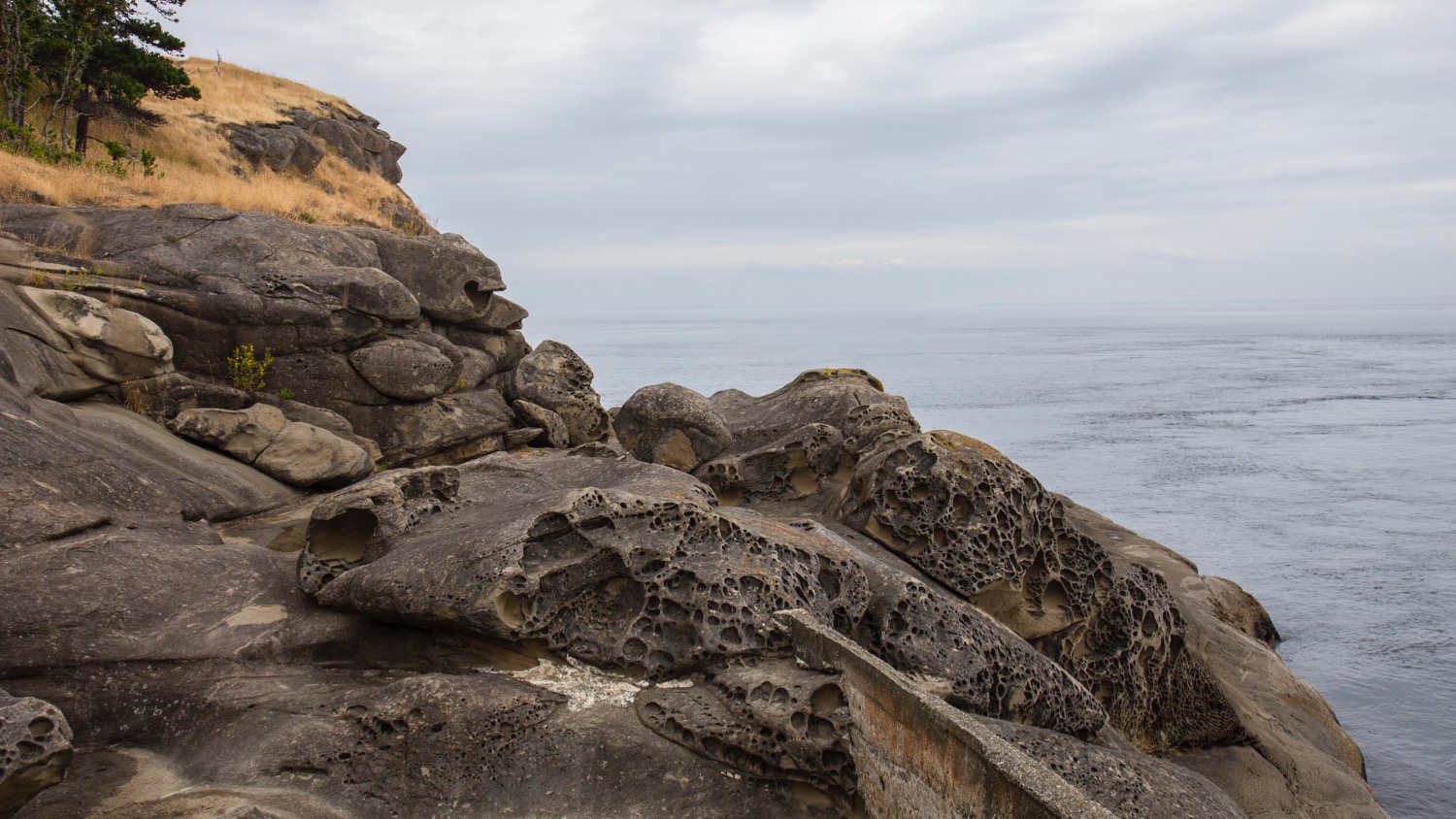  Views along East Point. 