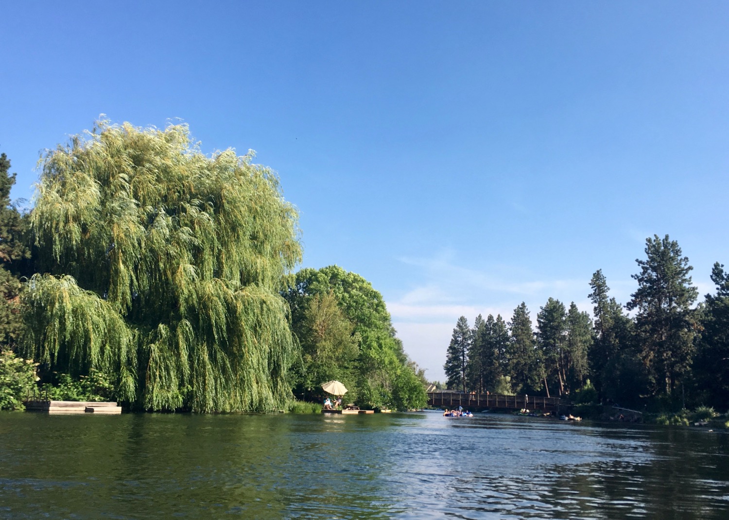 The trees along the river are massive - and so are many of the houses.