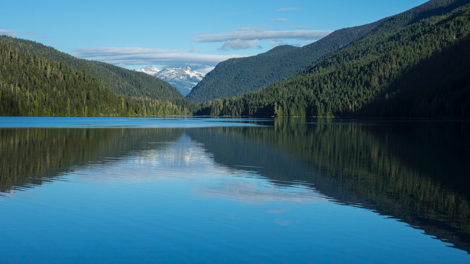 Whistler Backcountry - 80.jpg