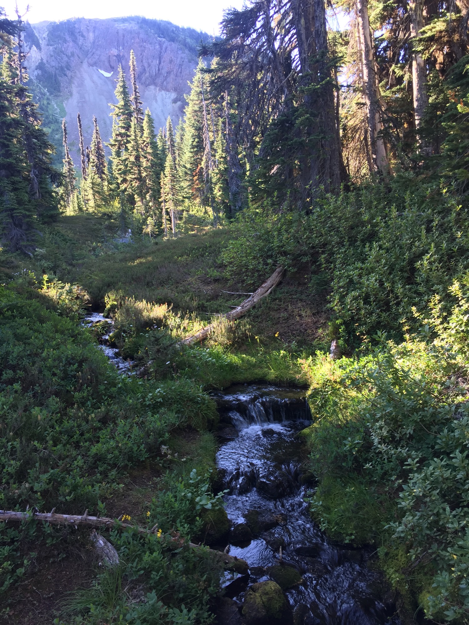 Whistler Backcountry - 26.jpg