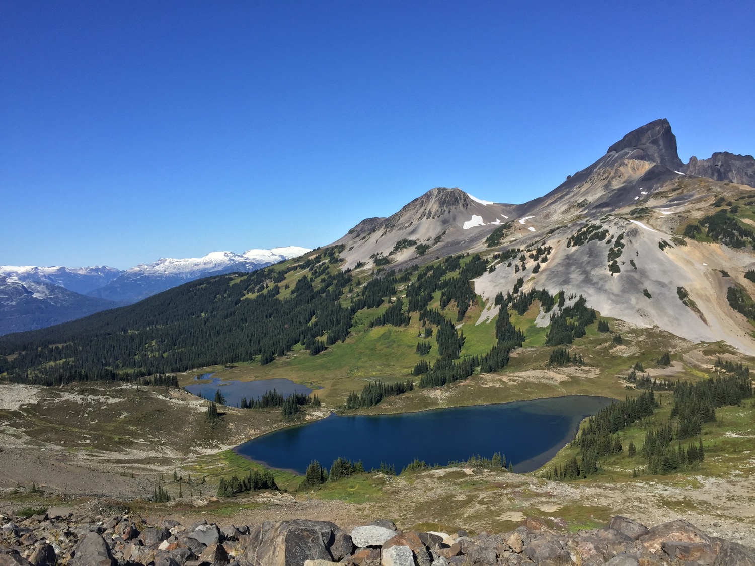 Whistler Backcountry - 56.jpg