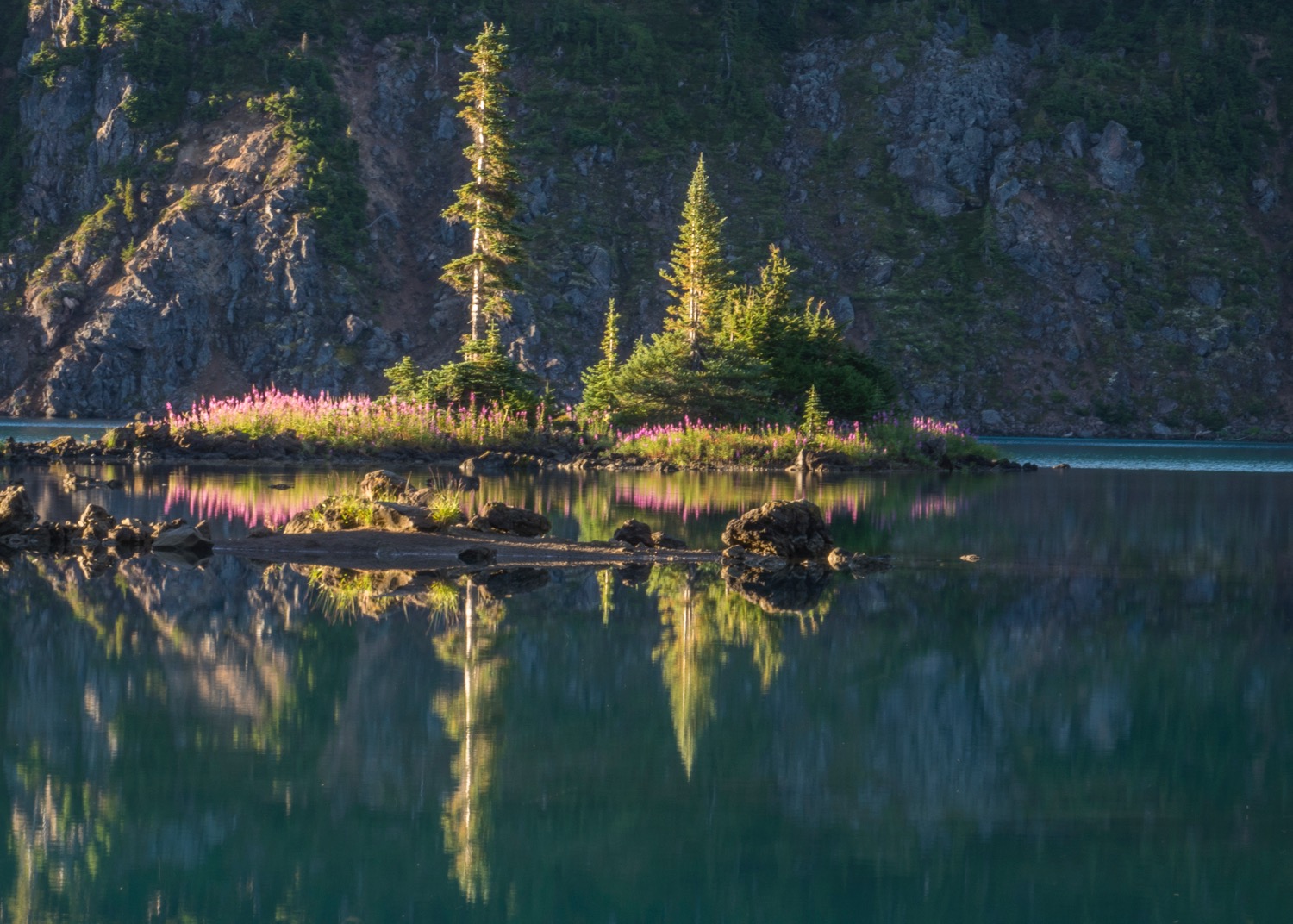 Whistler Backcountry - 5.jpg