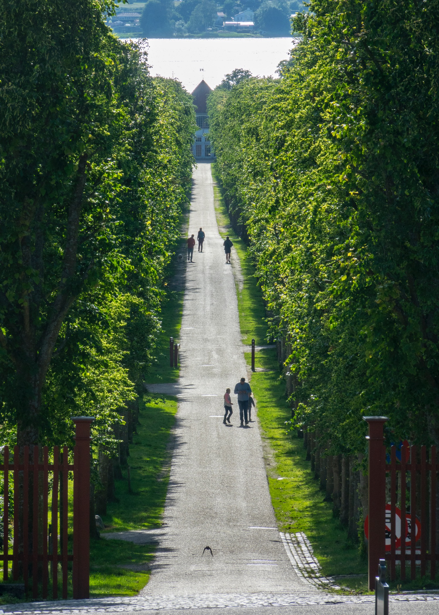  A long path up from the lake, out front of the palace. 