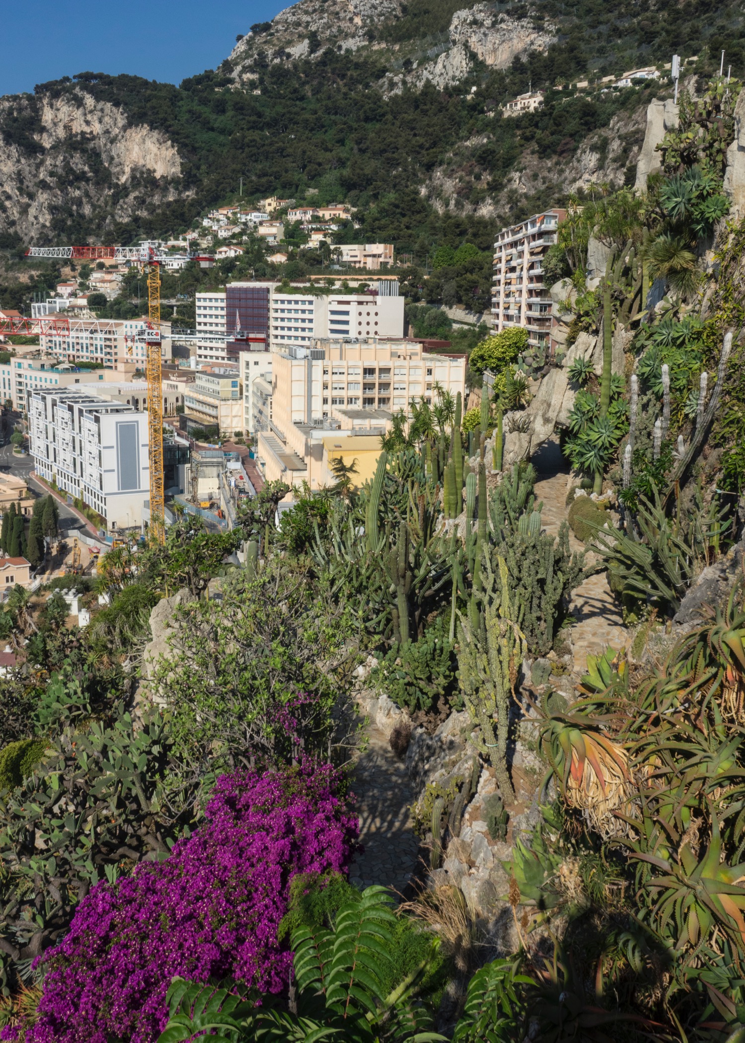 Most of the gardens are built into the steep cliff face, with amazing view out over the city and the ocean