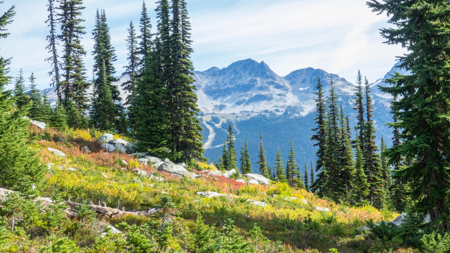 A view of the fall colours from early in the hike