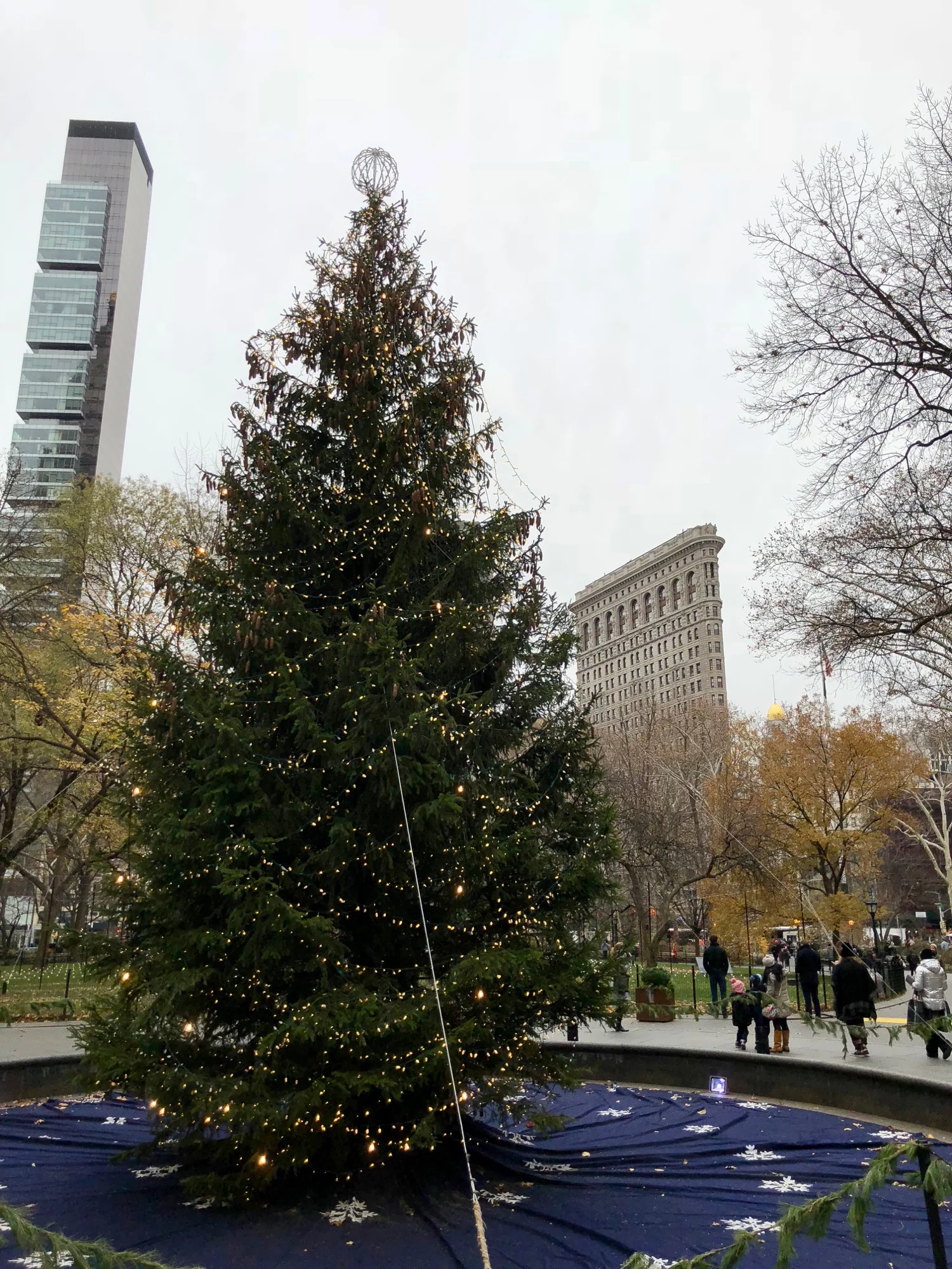  A Christmas Tree in Madison Square Park, with a view back to some old and some new achitectural gems 