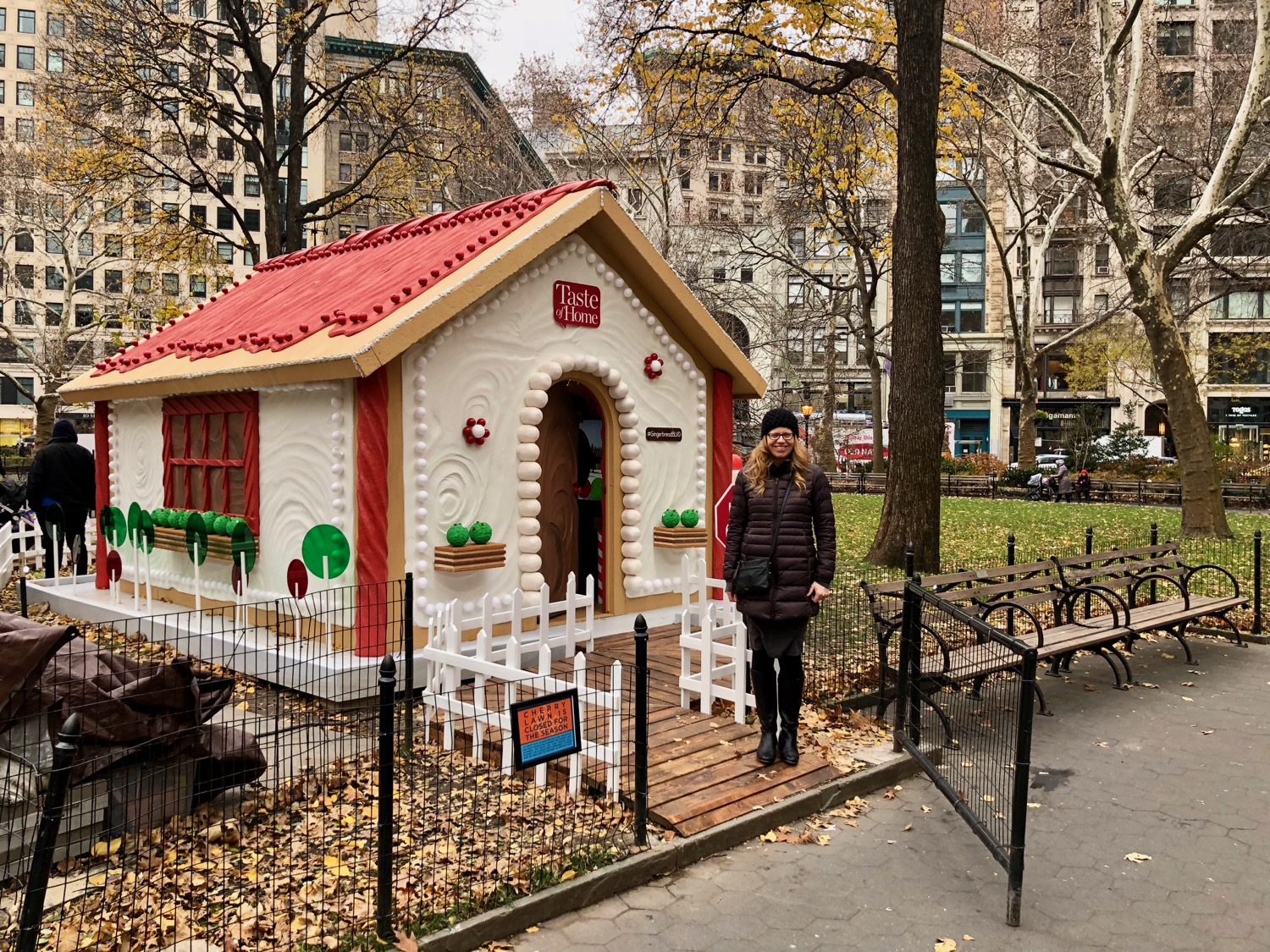  The gingerbread house 