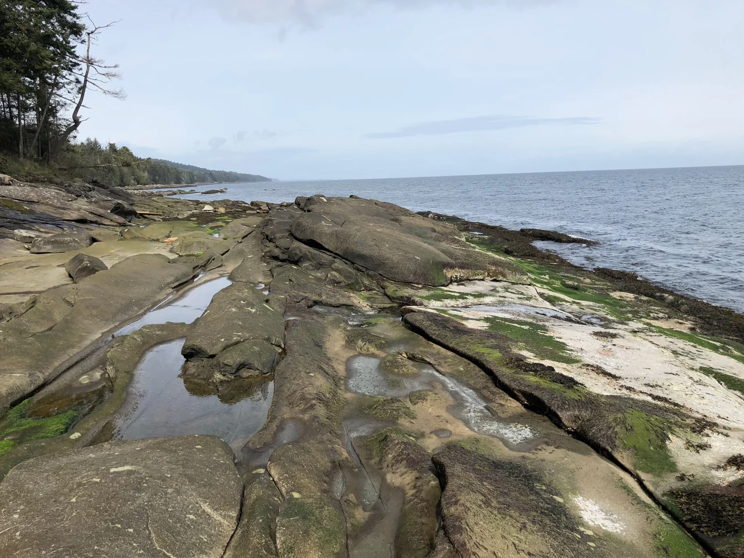 Galiano - 8.jpg