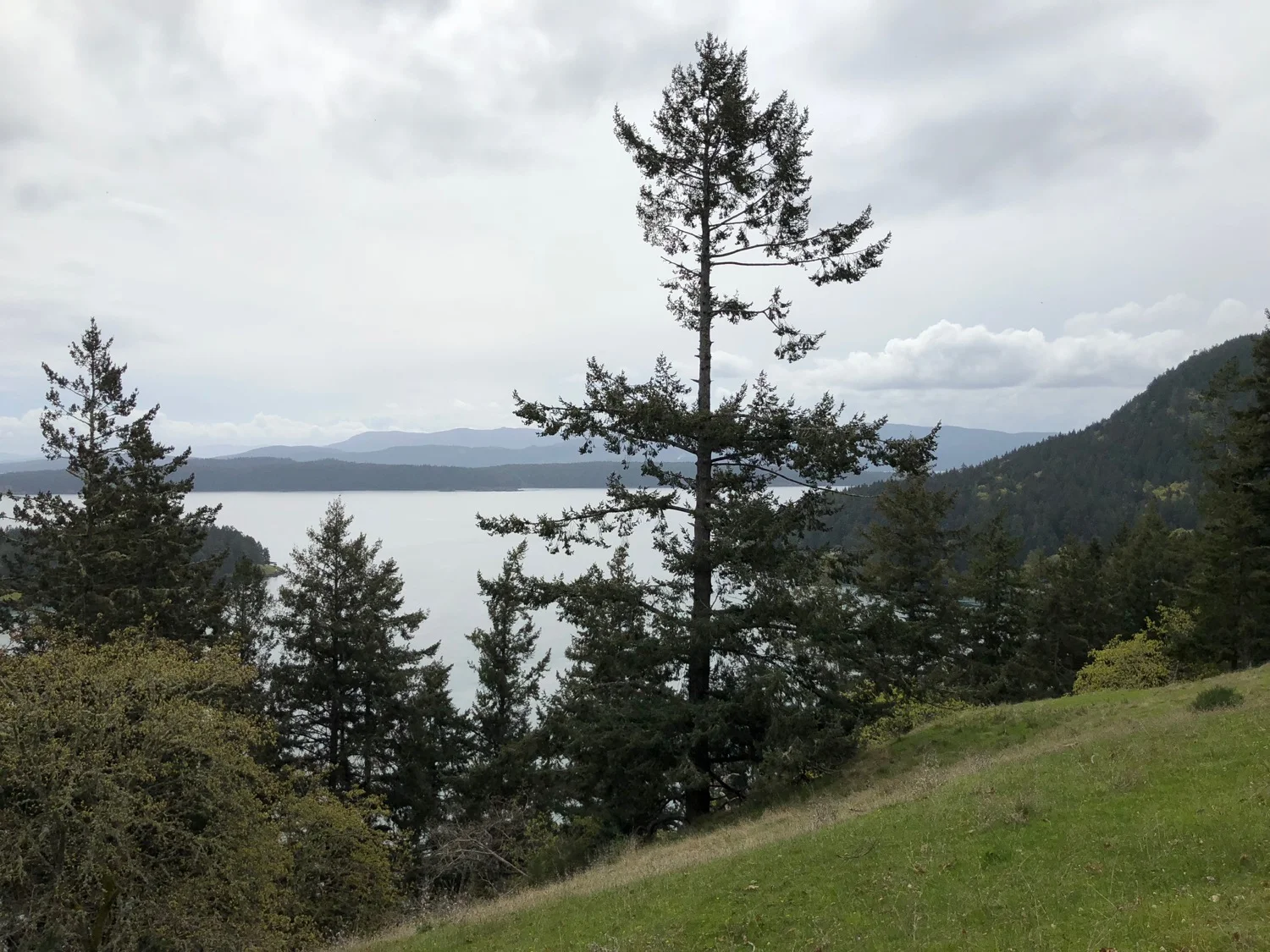 Galiano - 20.jpg