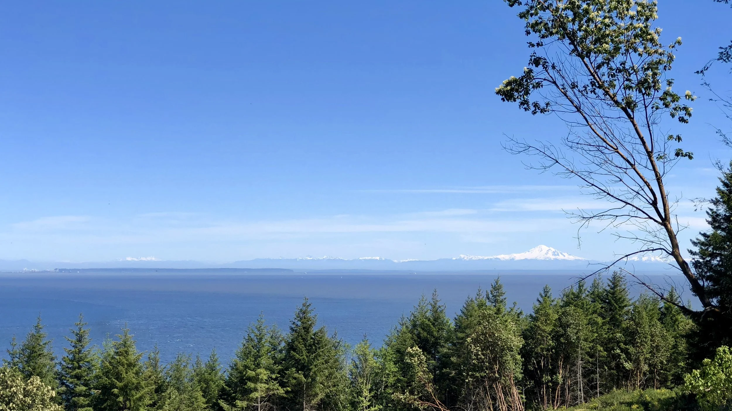 Our view of Mount Baker