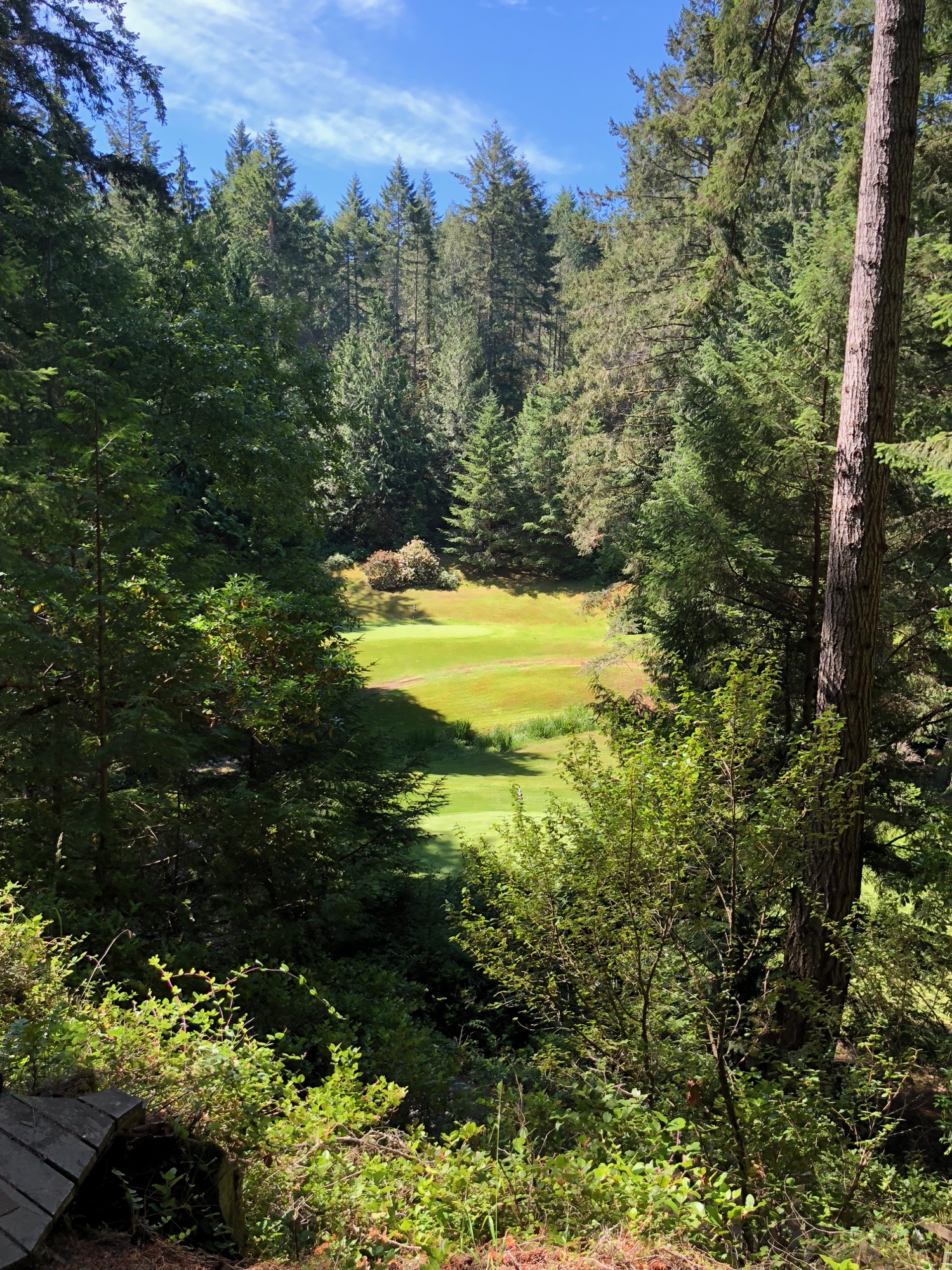 Galiano June - 23.jpg