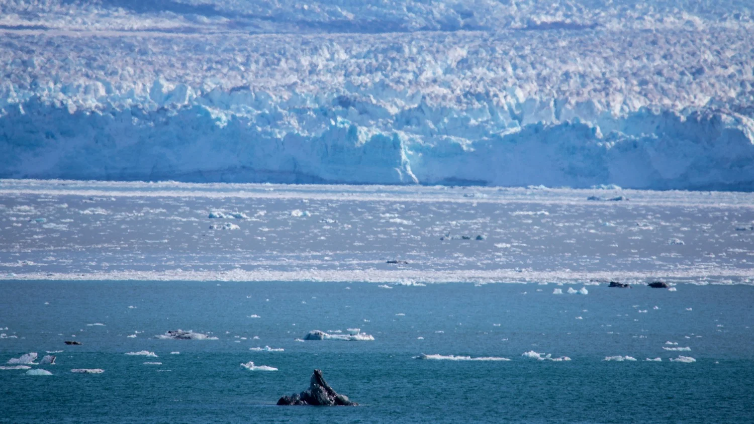 Hubbard Glacier - 21.jpg