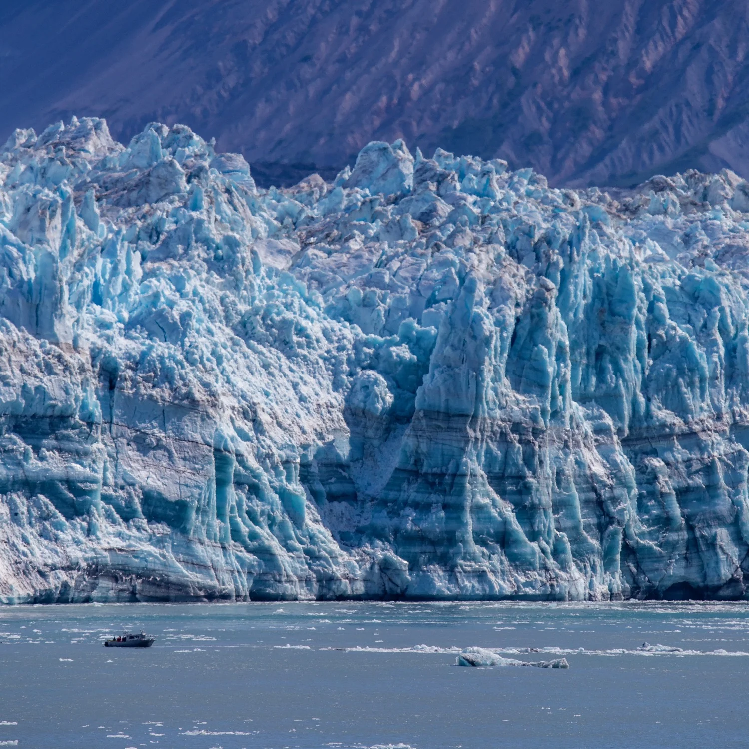 Hubbard Glacier - 45.jpg