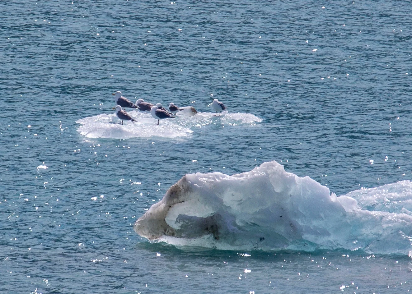 Hubbard Glacier - 57.jpg