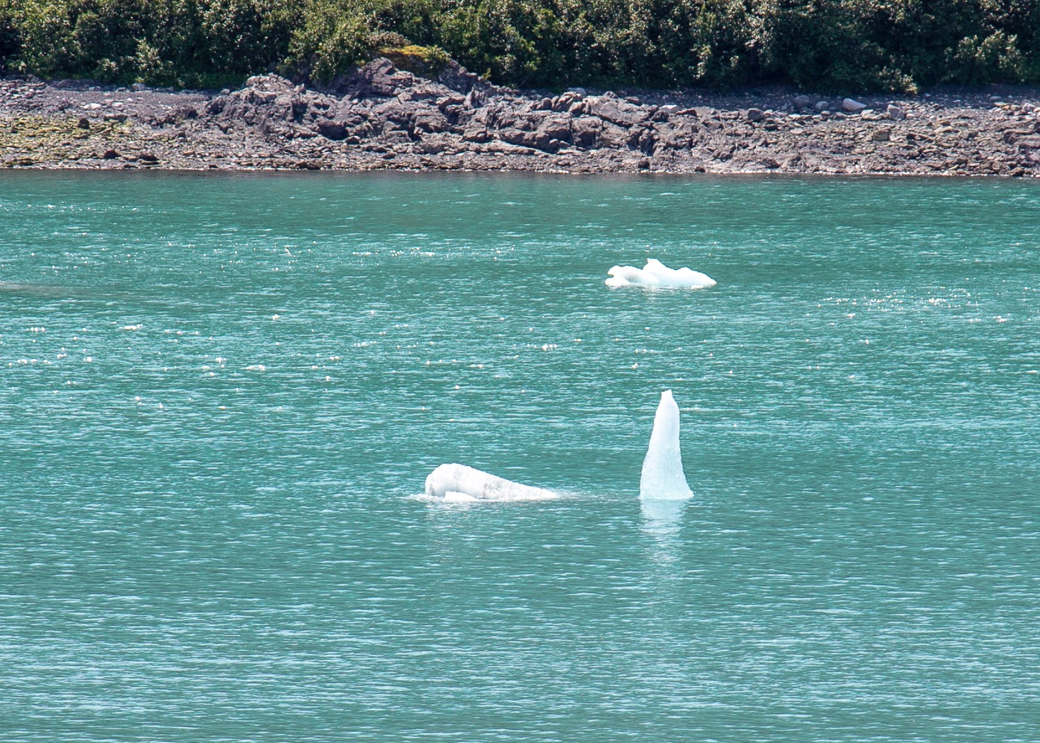 Yes, more ice but I had to include this one - it looks like an orca made of ice!