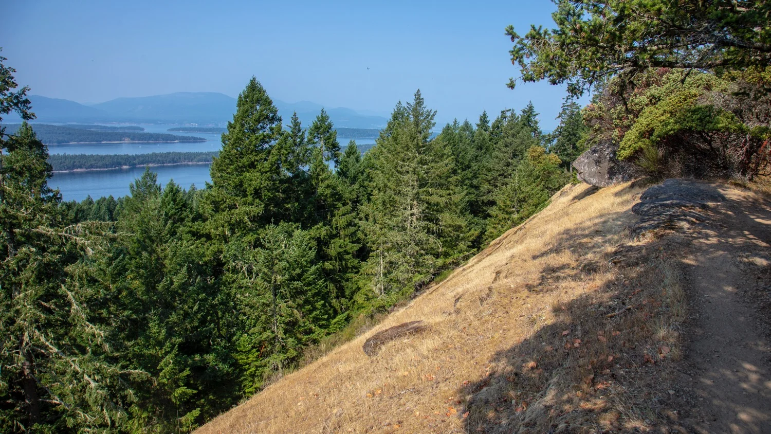 Galiano Bodega - 21.jpg