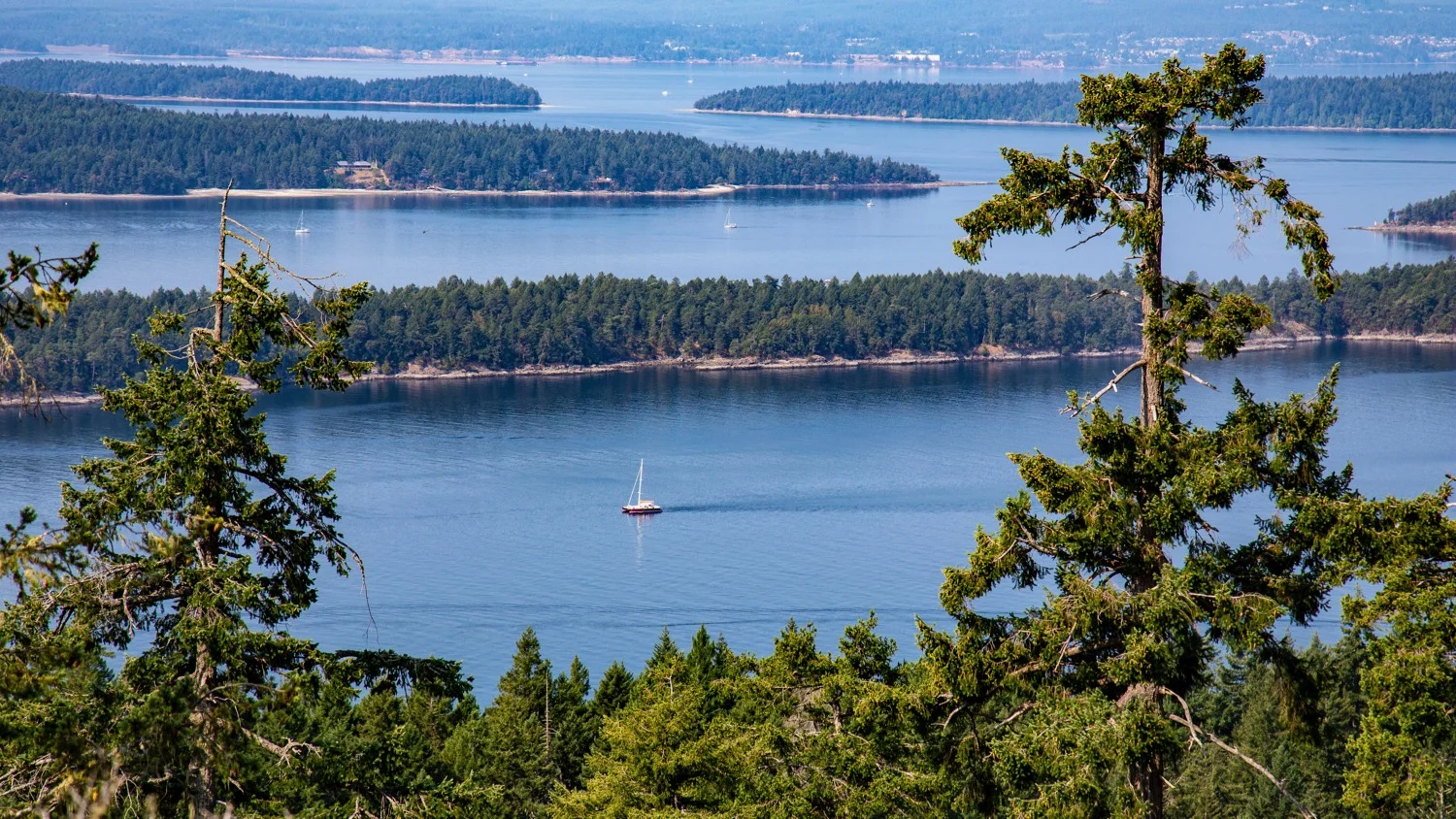 Galiano Bodega - 25.jpg