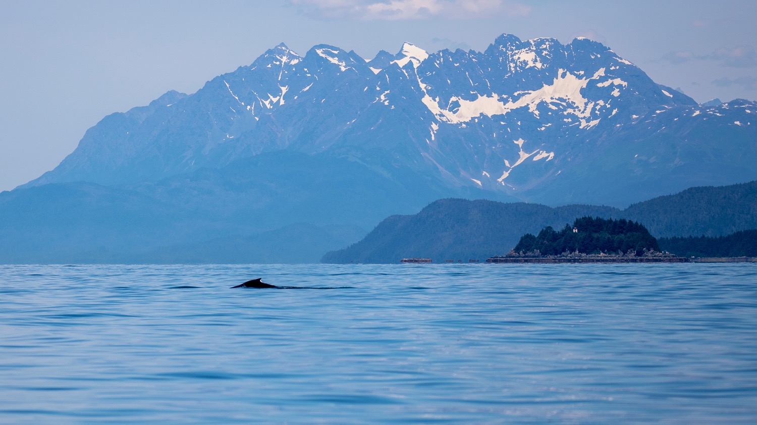 Juneau Alaska - 41.jpg