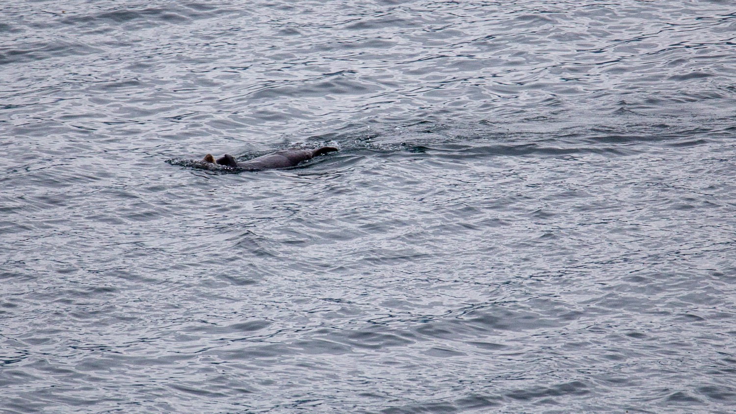 Ketchikan - 21.jpg