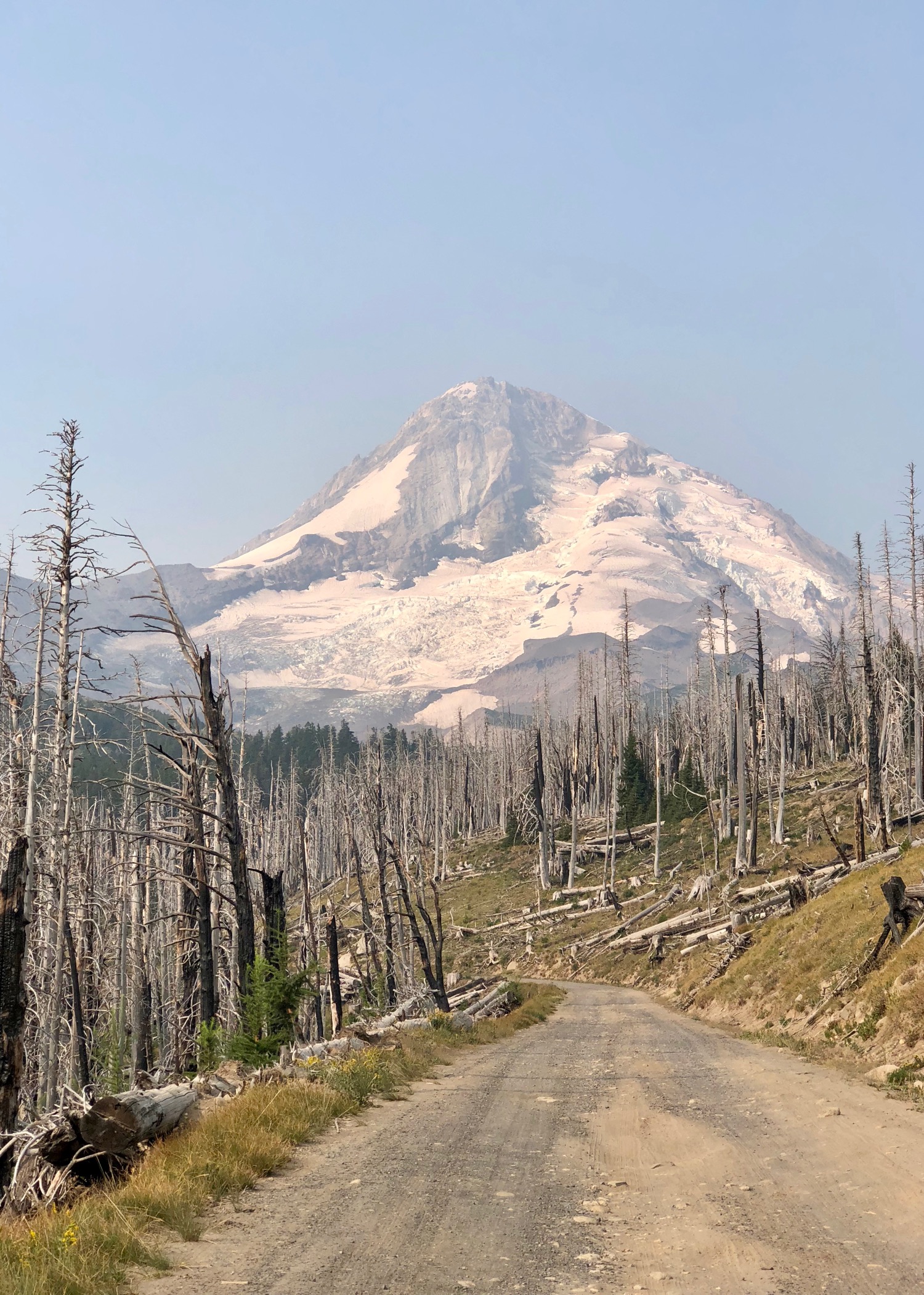 The drive up was through the remains of an old forest fire, but gave us impressive views of Mount Hood and it's glaciers.