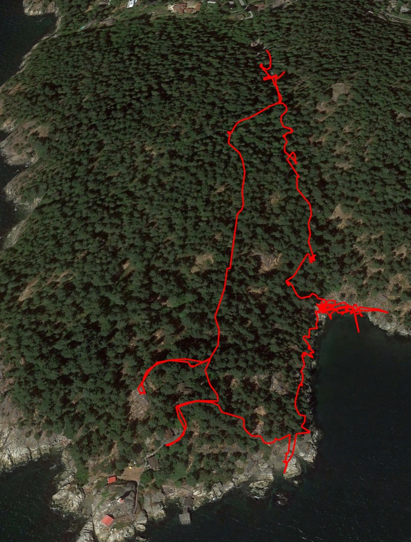 The full map of our hike (and swim) at Lighthouse Park. Such a fun day!