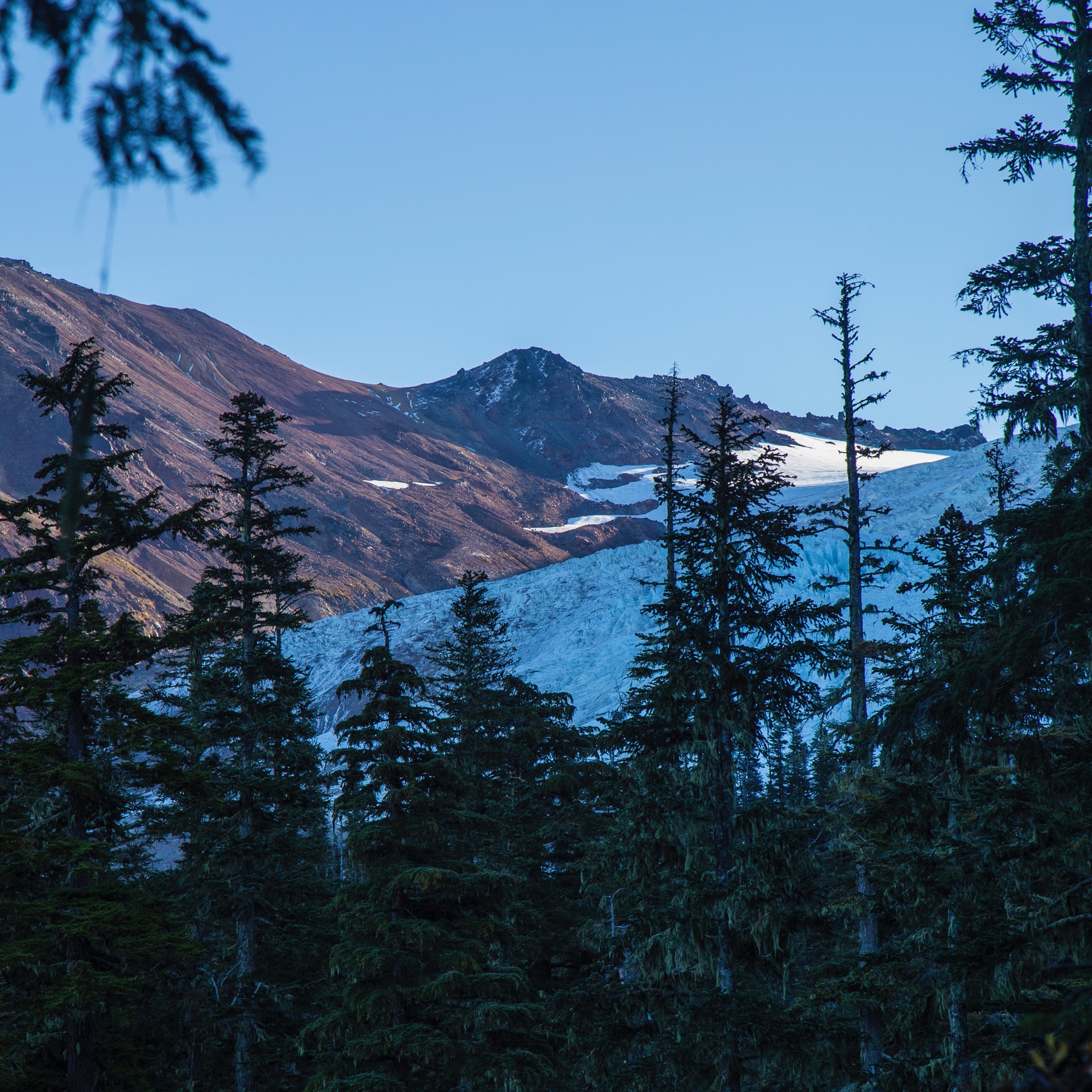 It didn’t take all that long for us to catch a glimpse of the glacier through the trees.
