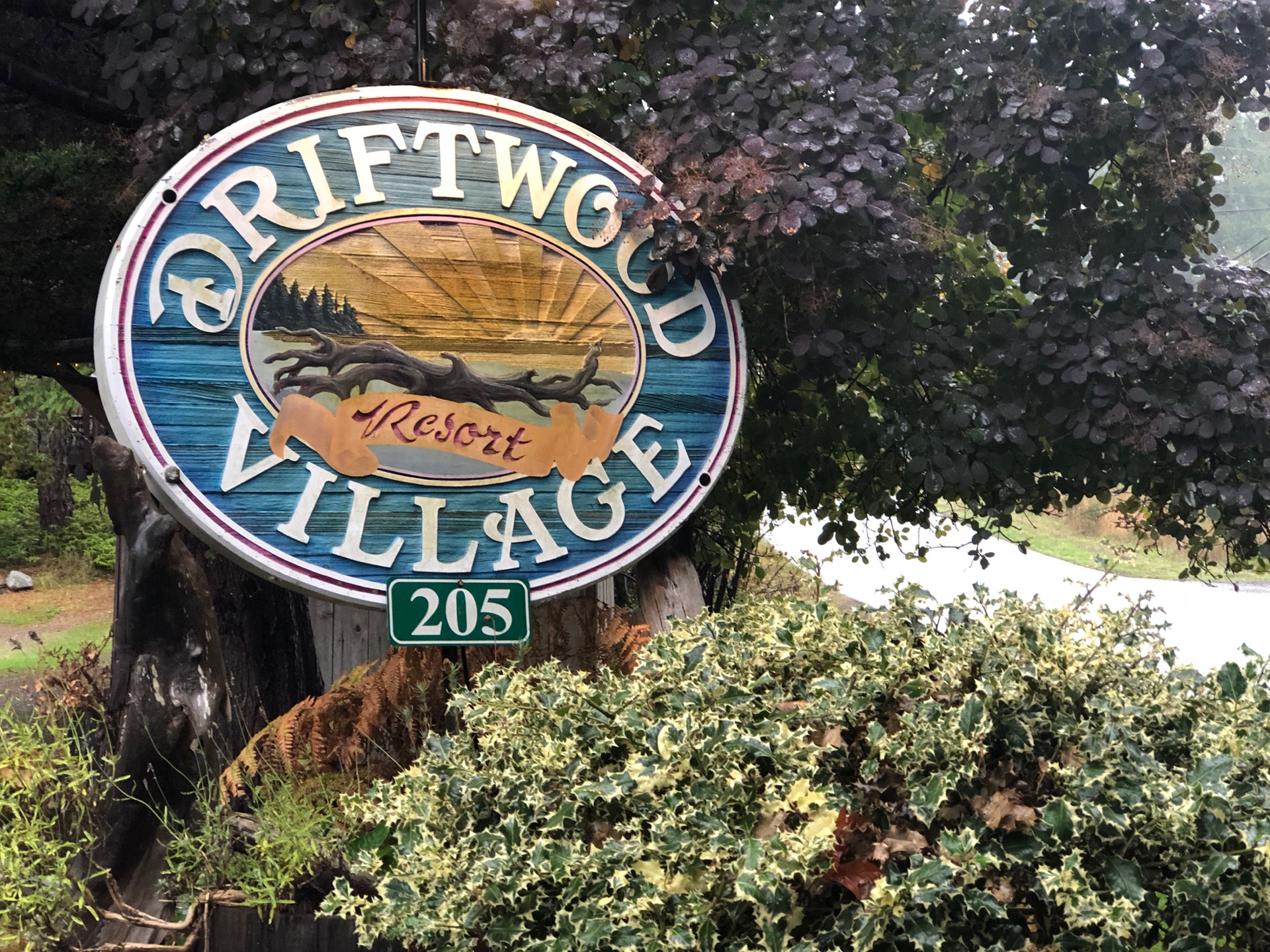 This trip, we rented a couple of cottages at a new place. It worked out well, and they were fairly inexpensive.