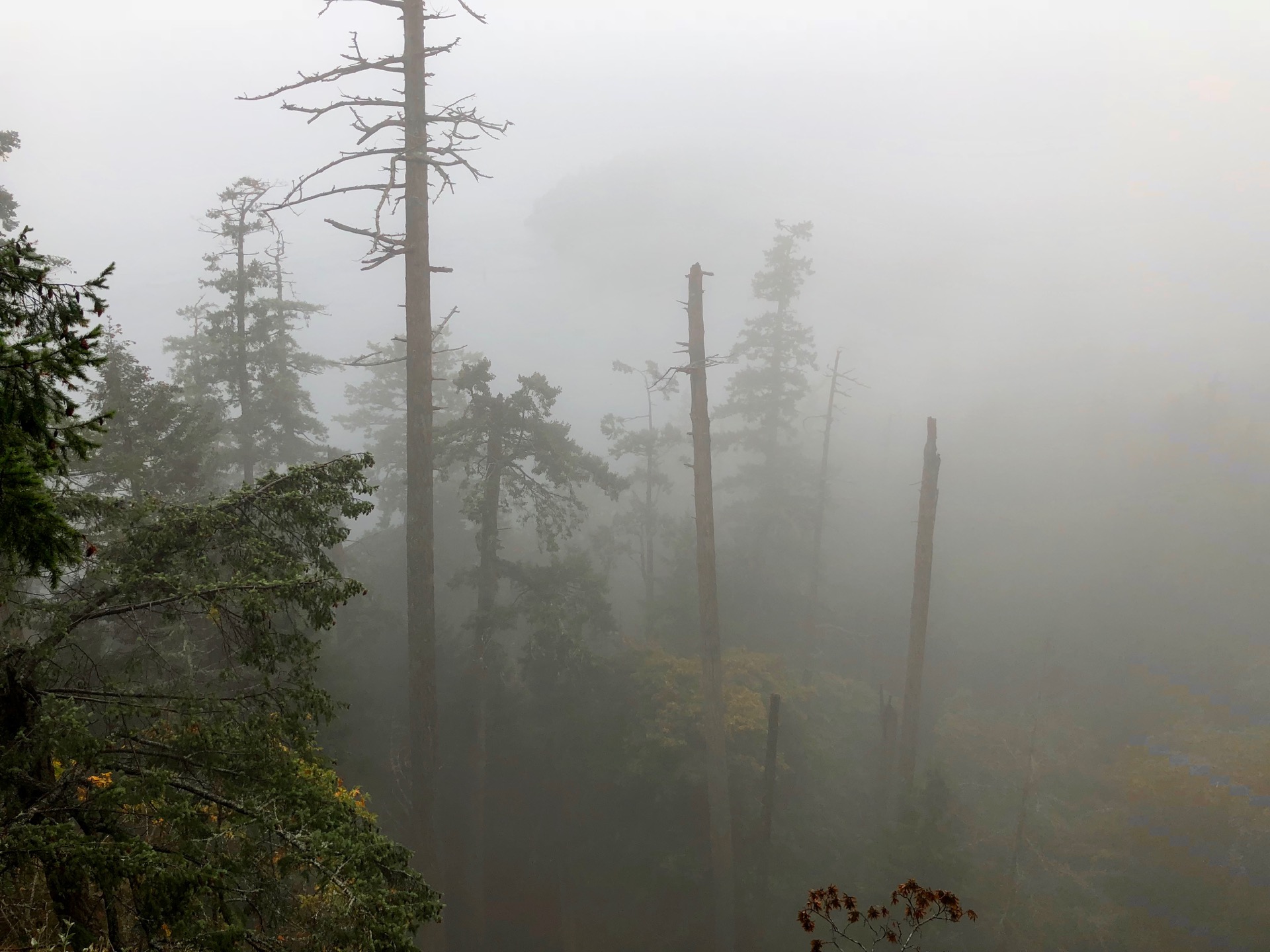 It was very atmospheric in the forest.