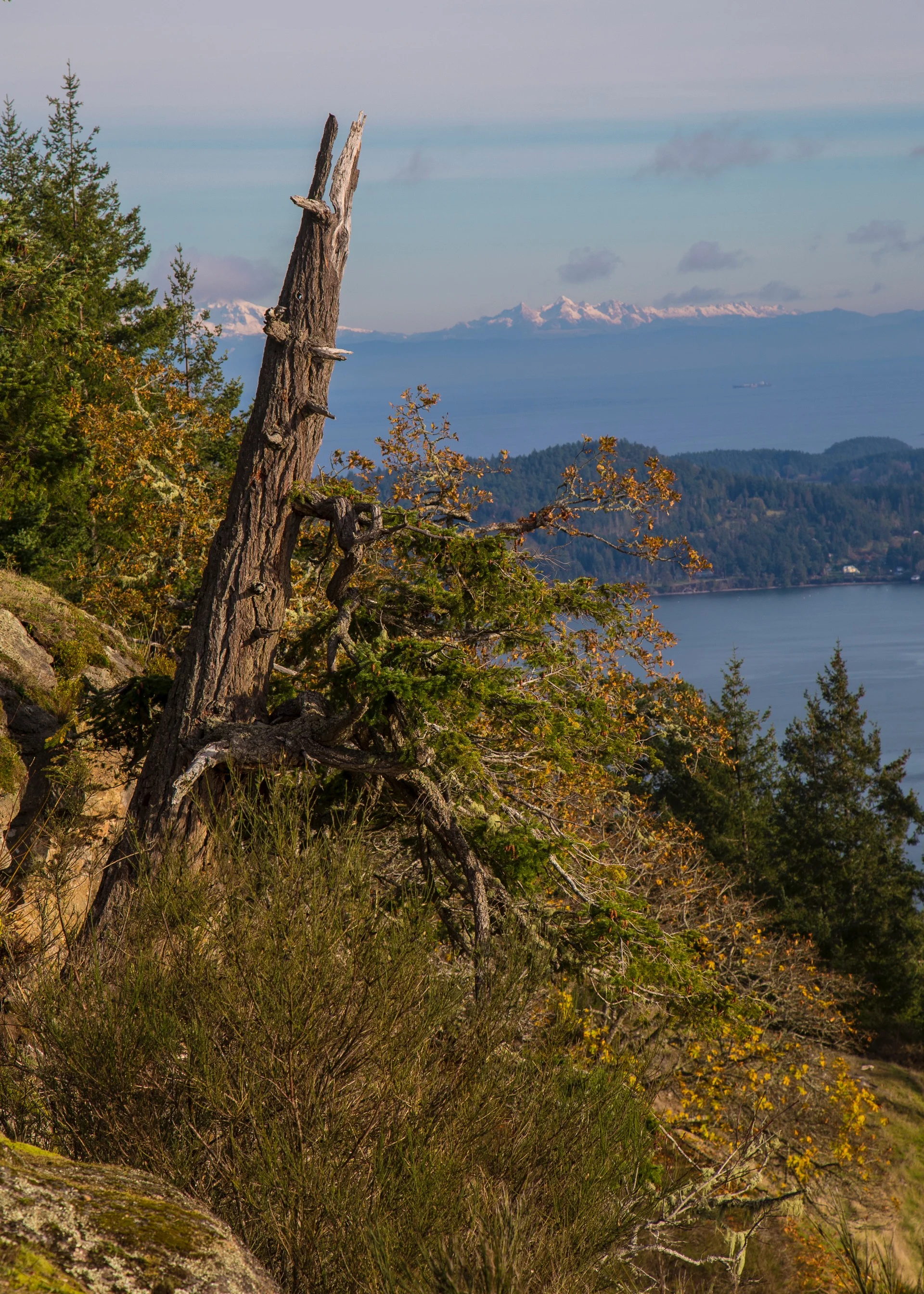 Galiano Nov - 69.jpg