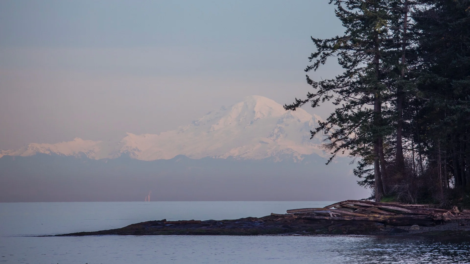  We had some fantastic views of Mount Baker. 