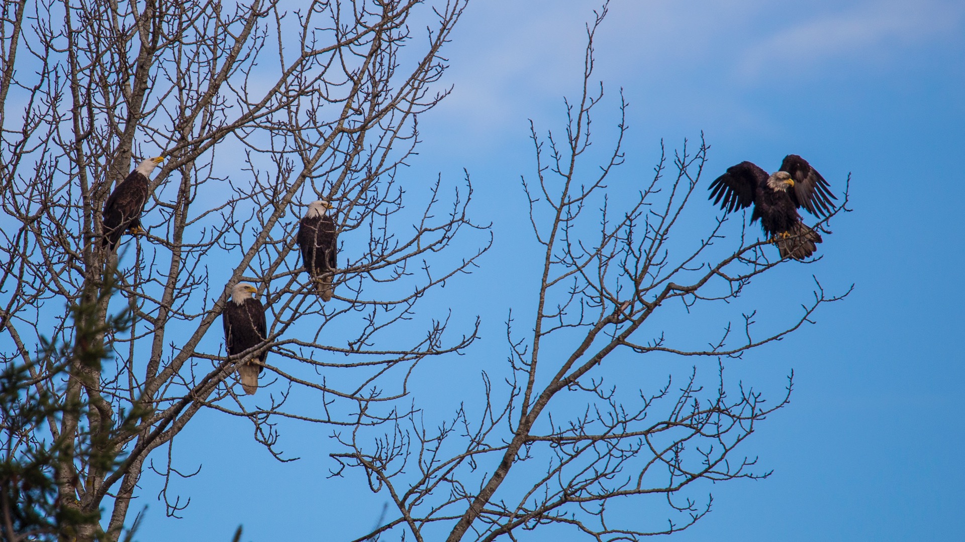The three of them seemed unsure what the fourth one was doing…