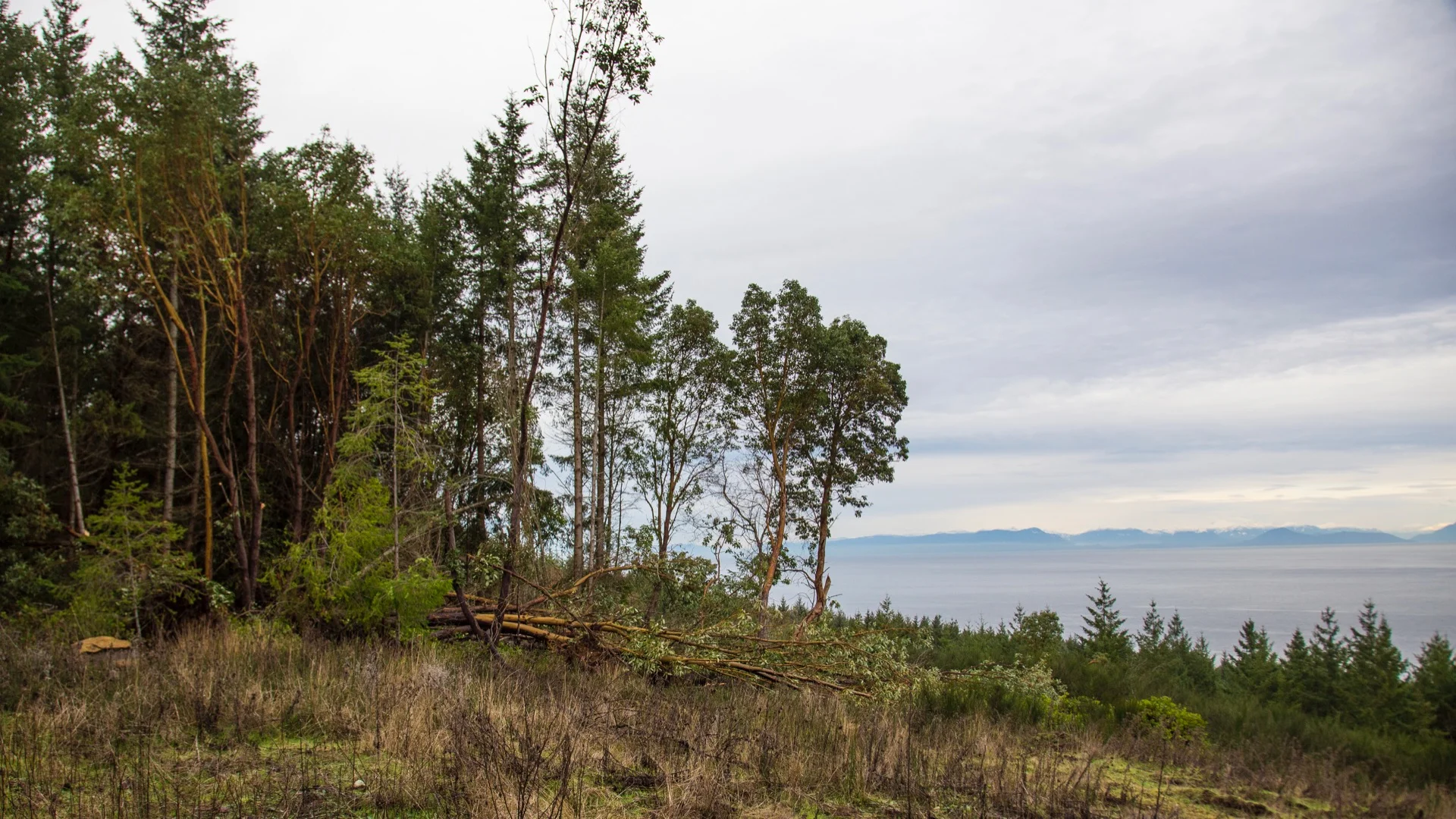  A wider view of the damage at the edge. 
