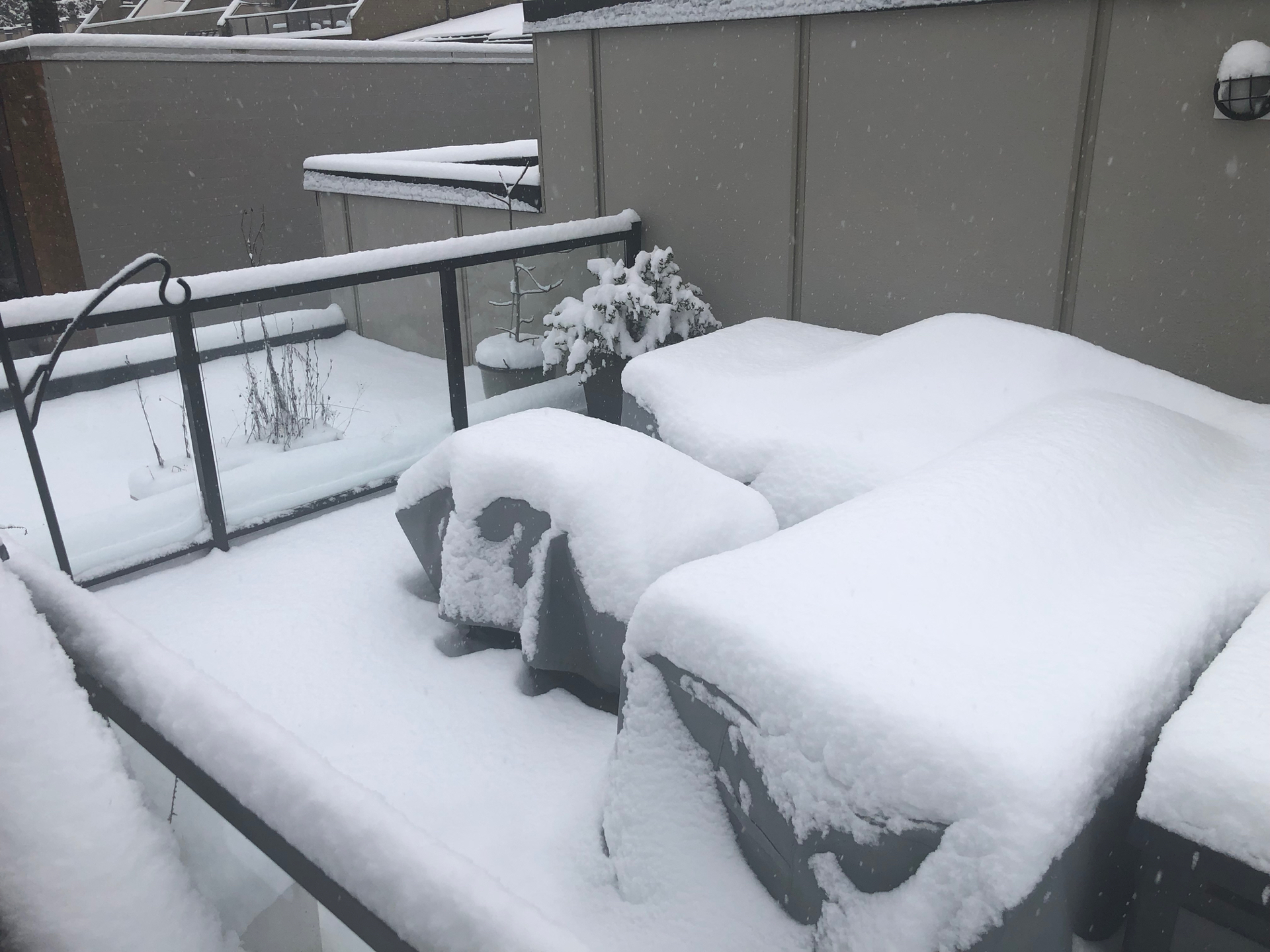  A pretty good sense for the snow we got. Accumulation on the roof deck. 