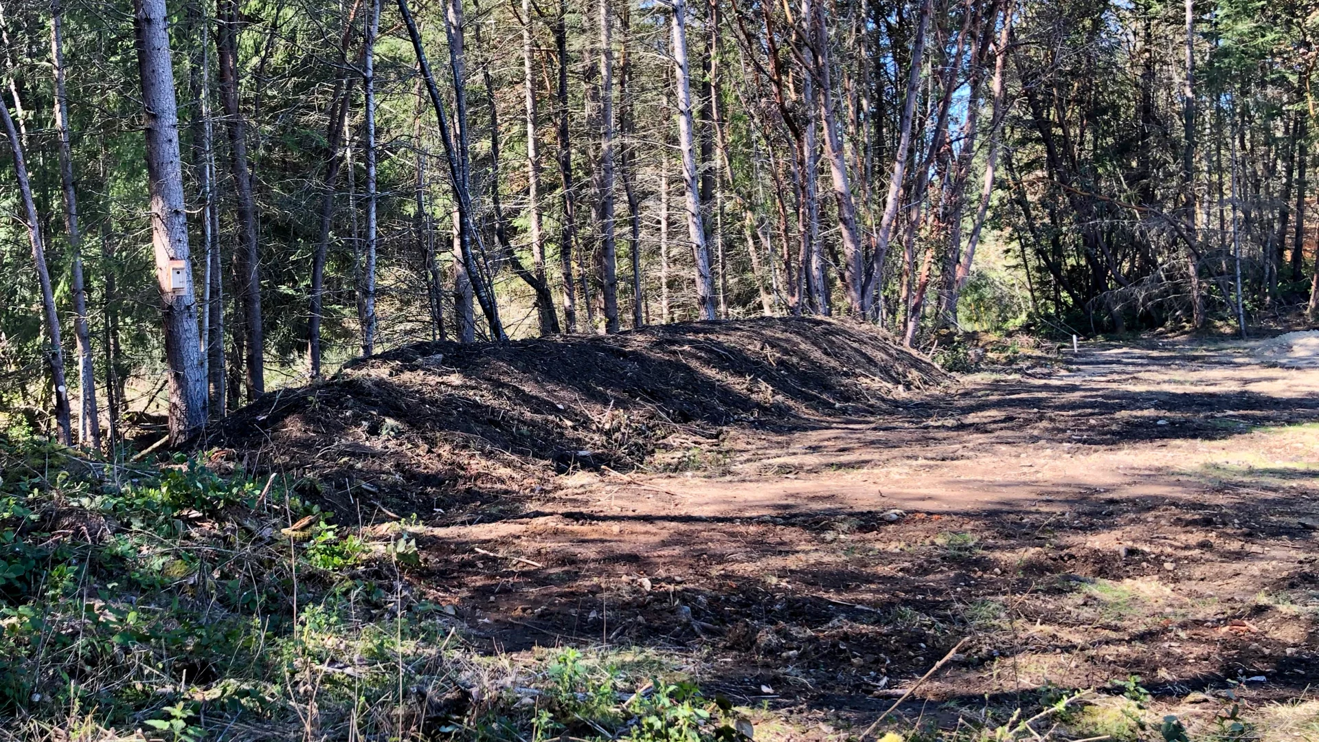 Along the back (front?) of the level top portion, the dirt he scraped all ended up as this great mound, giving some separation from the forest and small ditch/ravine between us and the road.
