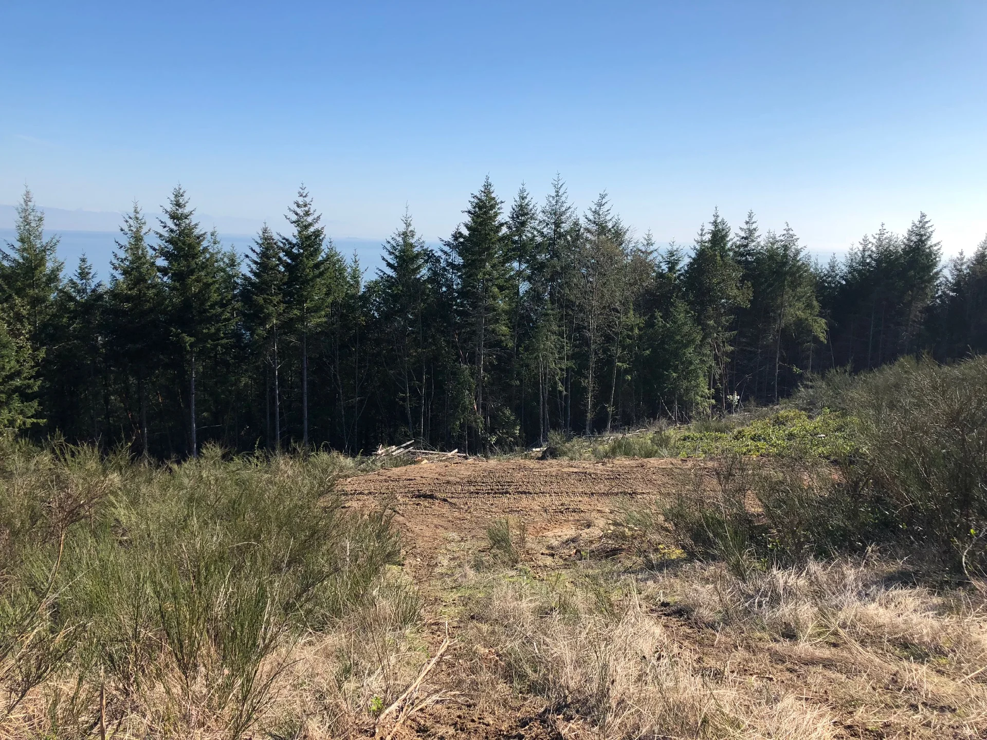 The last touch, Fred started to carve a flat piece of land down the hill. It wasn’t quite what I wanted - I was looking for it to be bigger, but it’s a great start. This will be the orchard and gardens eventually…