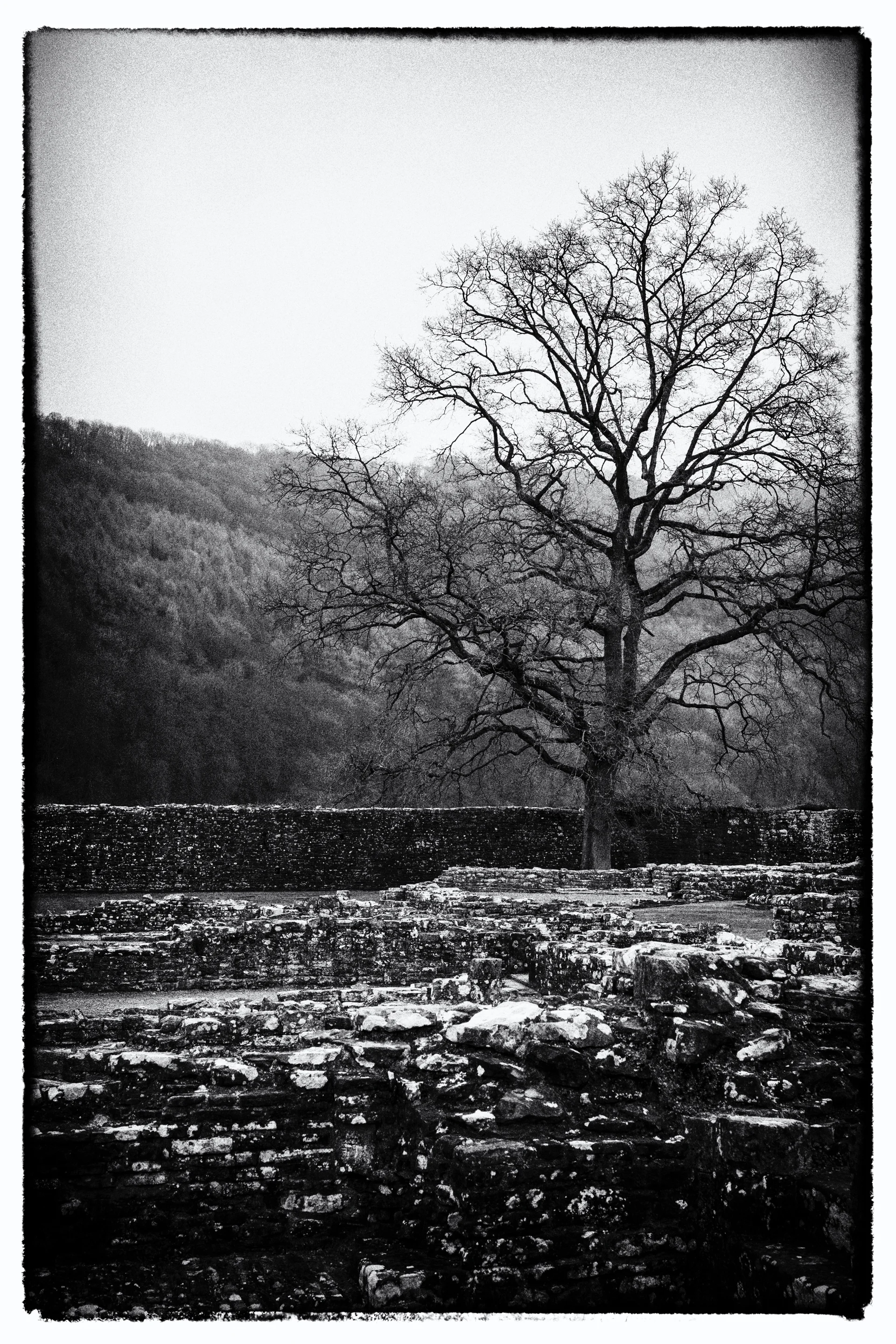 2019 03 Tintern - 4.jpg