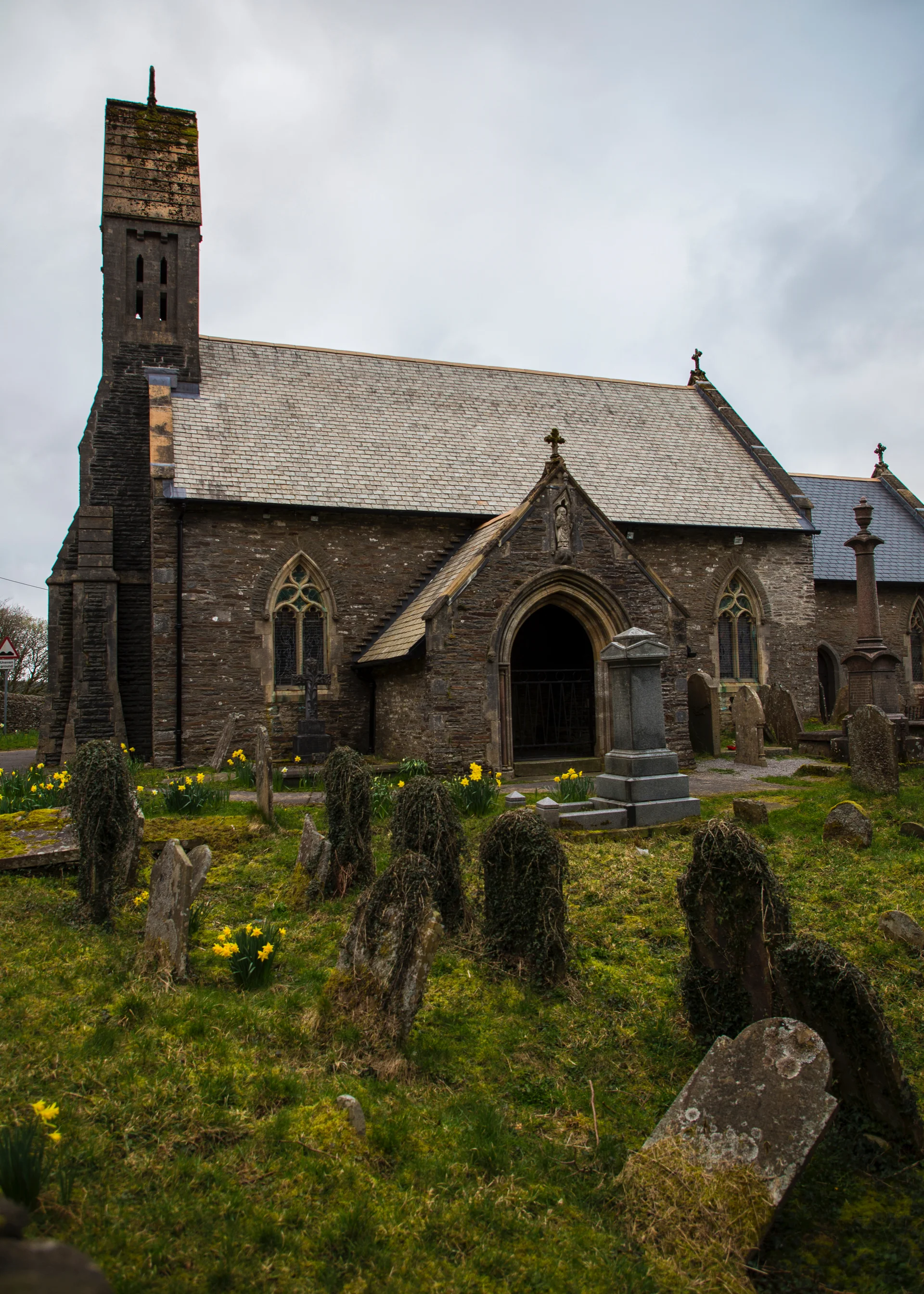 2019 03 Wales Family - 58.jpg