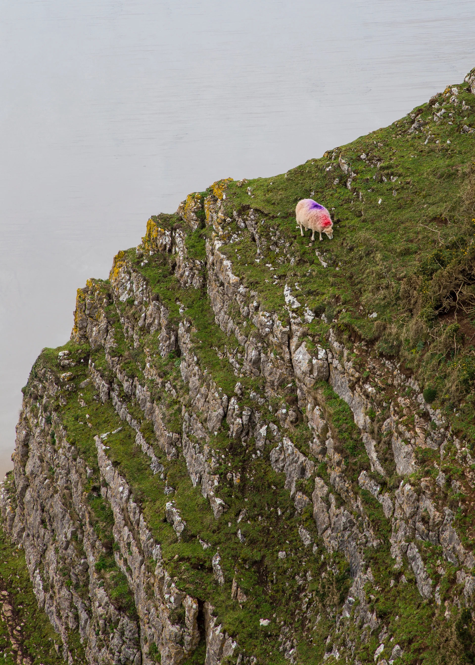 2019 03 Wales Family - 7.jpg
