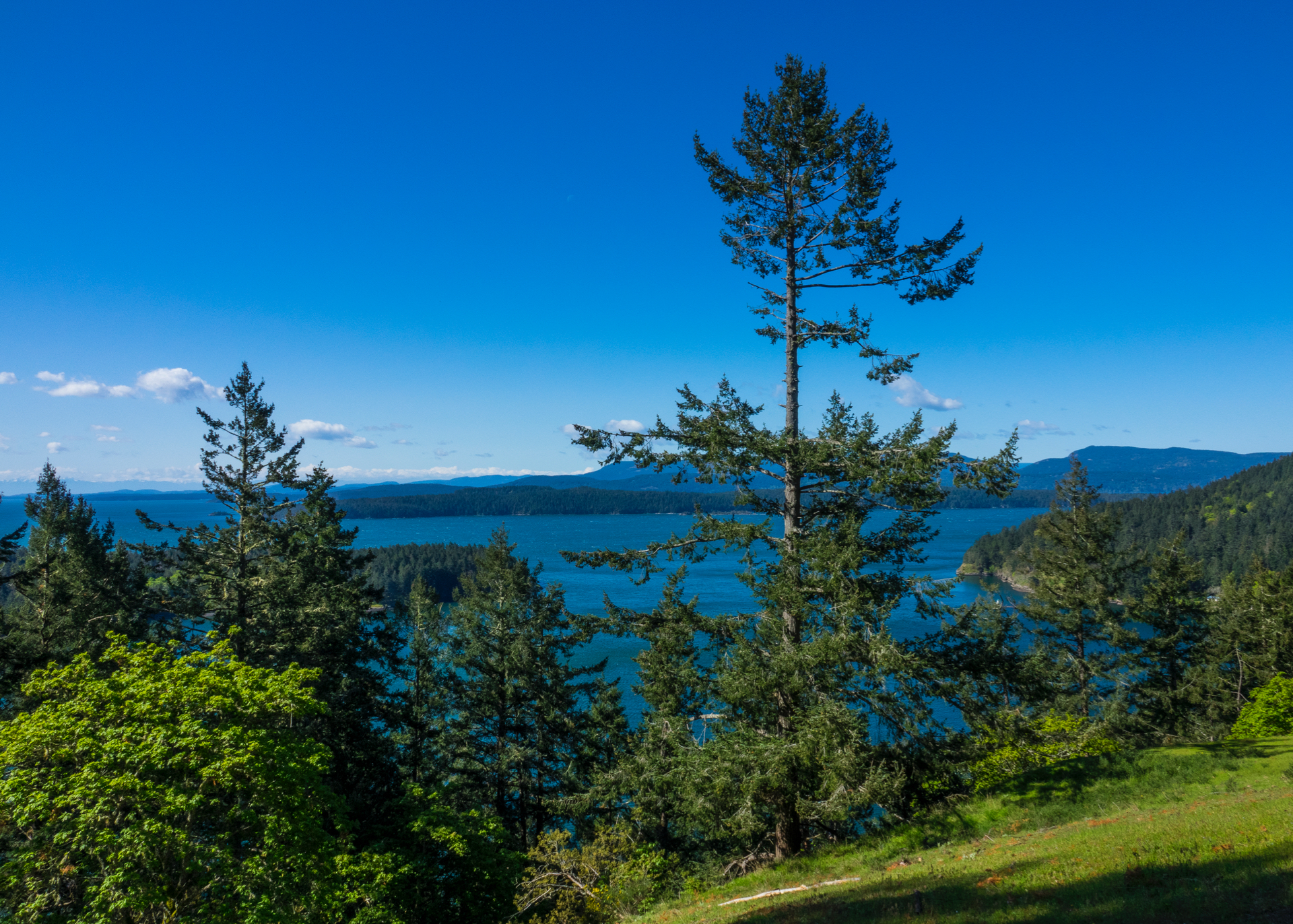  The view out from Bluff’s Park. 