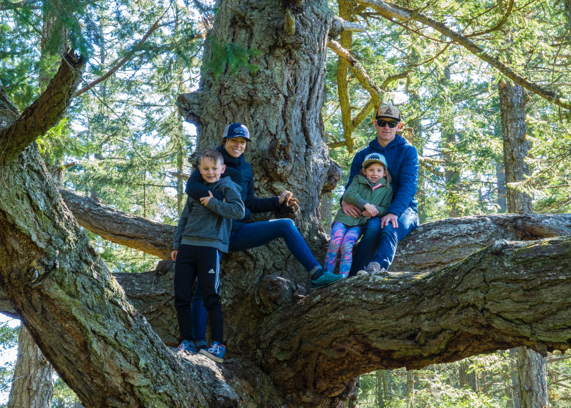  The Bookbinder’s up a tree… 