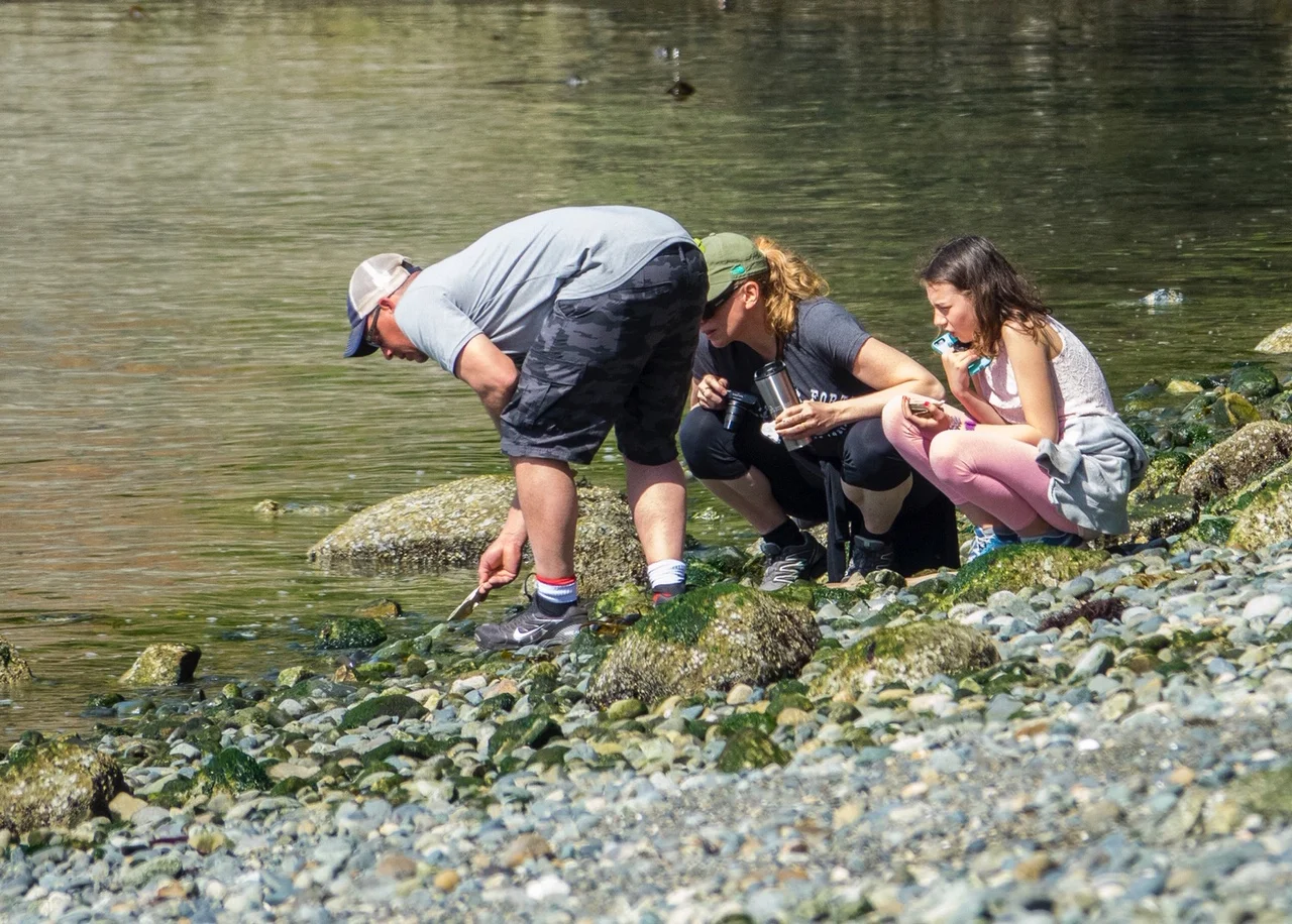  They were all very interested in what was in the water… 