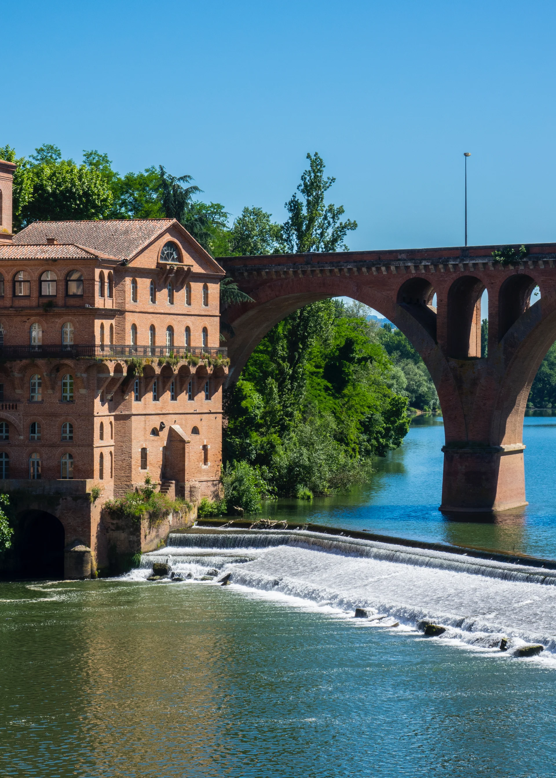 2019 06 Albi - 19.jpg