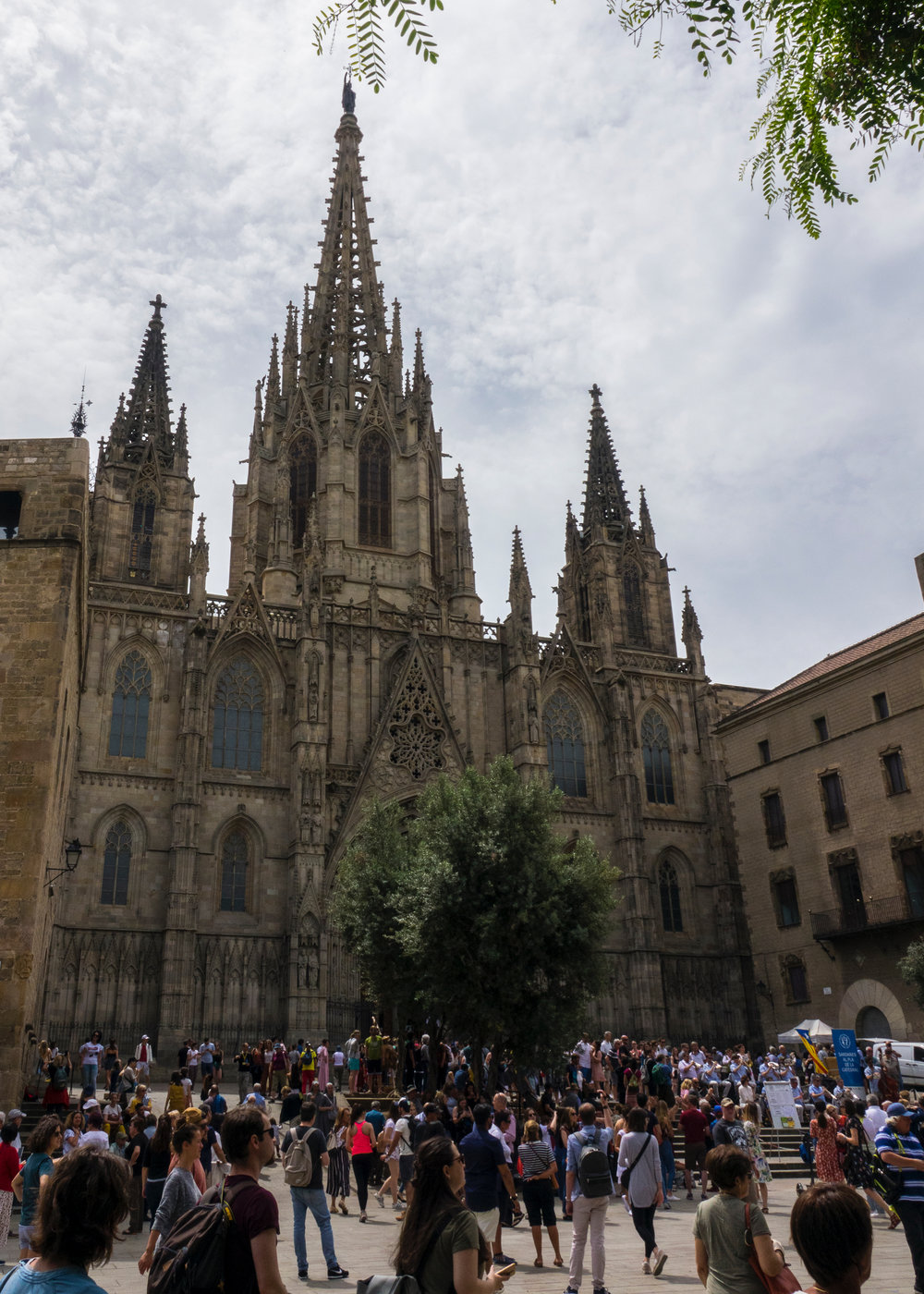  The Barcelona Cathedral - the original gothic masterpiece. 